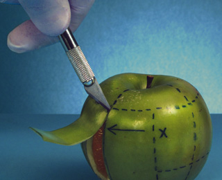 卡密网站靠谱的短信在线呼死你2023